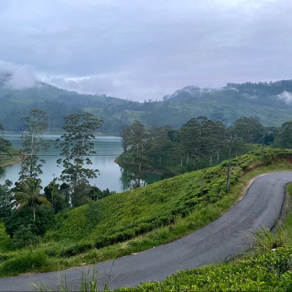 Meet your Posher, Sineka - Picture 2 of 2